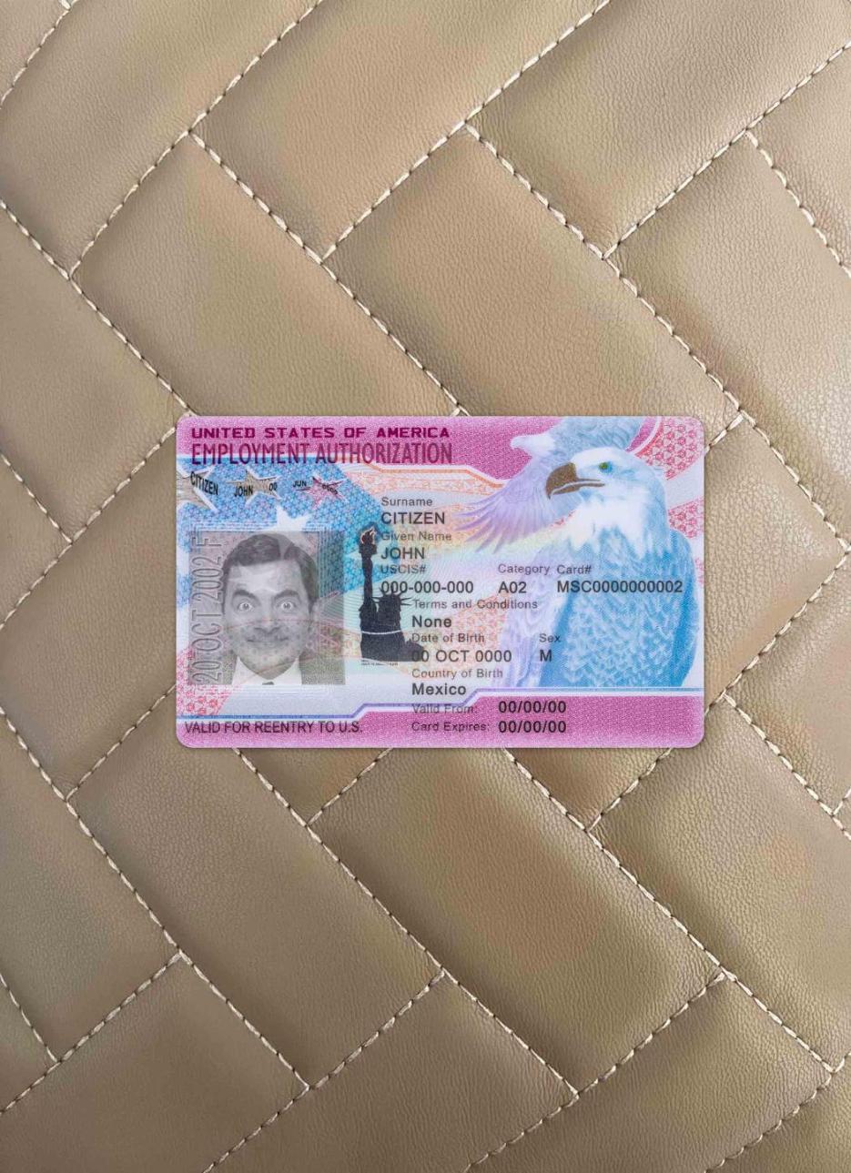 Printable USA employment authorization photolook example